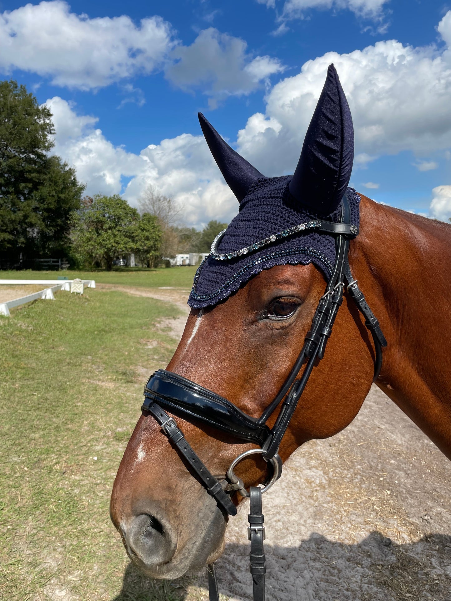 Shades of Blue Alternating Single Row 8 mm Preciosa Browband