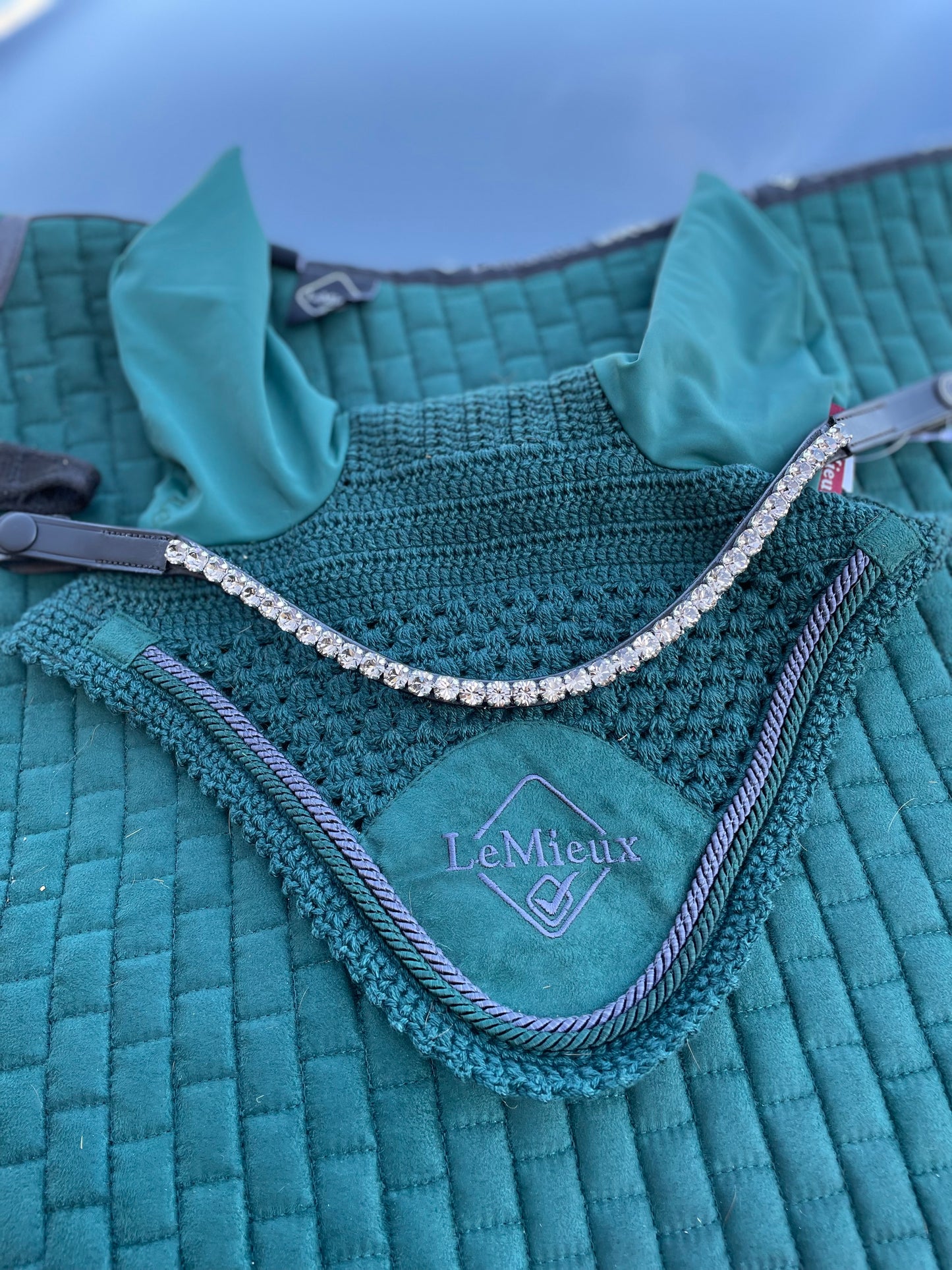 Black Diamond Single Row 8 mm Preciosa Browband