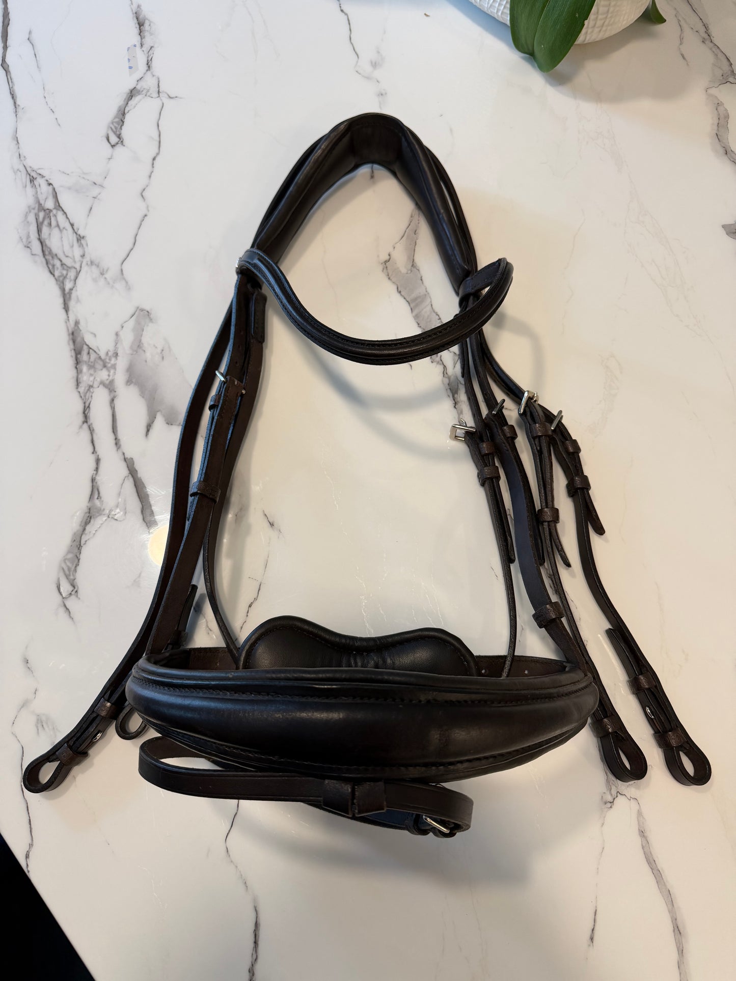 Stubben Switch/Clare 2 in 1 Snaffle Double Bridle Combo - New - Full Size - Ebony Dark Brown