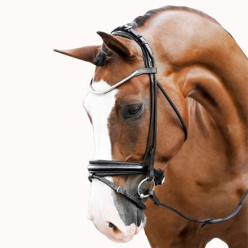 Bridles & Accessories