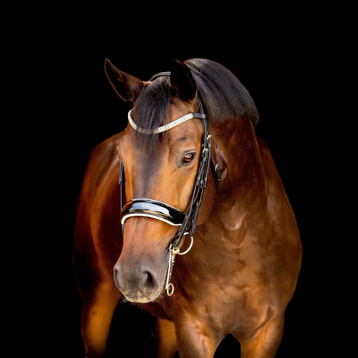 Lumiere Black White Patent Double Bridle - Adeline - with two sets of reins