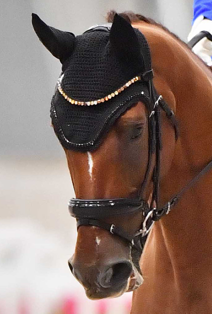 Custom Halter Ego Slimline Browband - 17”