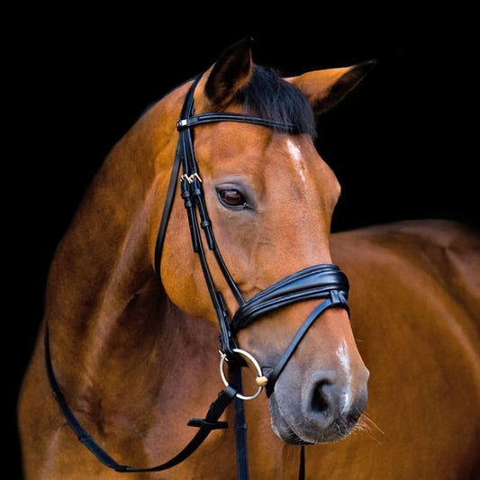 Stubben Switch/Clare 2 in 1 Snaffle Double Bridle Combo - New - Full Size - Patent Black