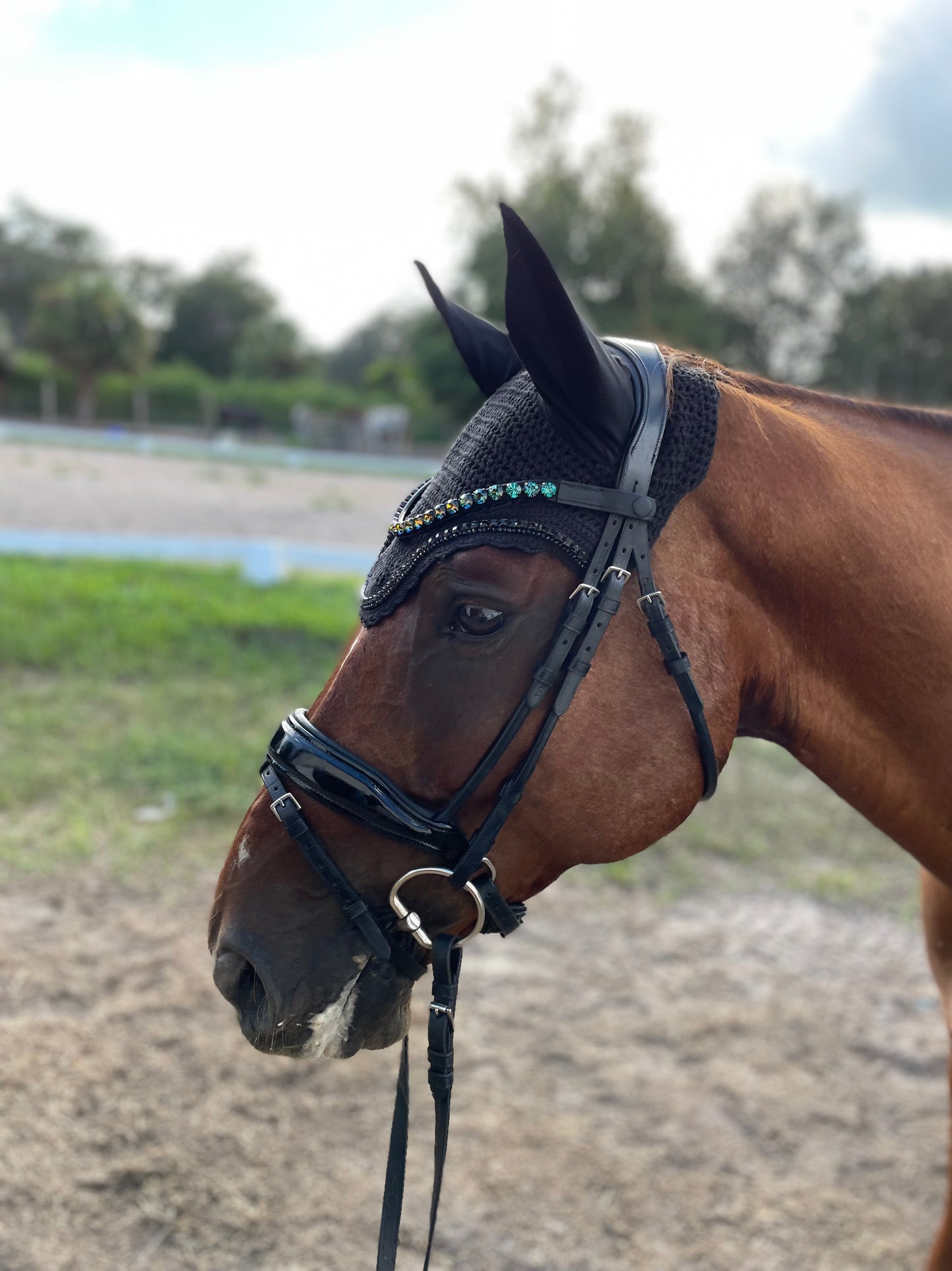 11 MM Crystal Browbands ✨ - Multiple Colors and Sizes