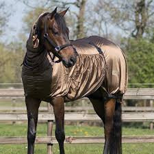 QHP Eczema Rug - 80”