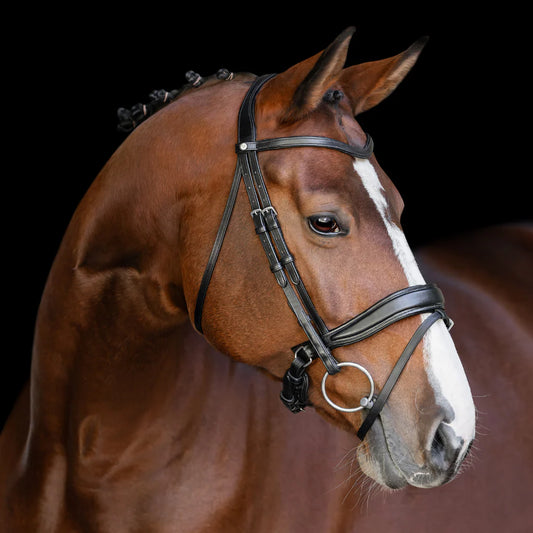 Artemis Infinity Bridle - Warmblood Size