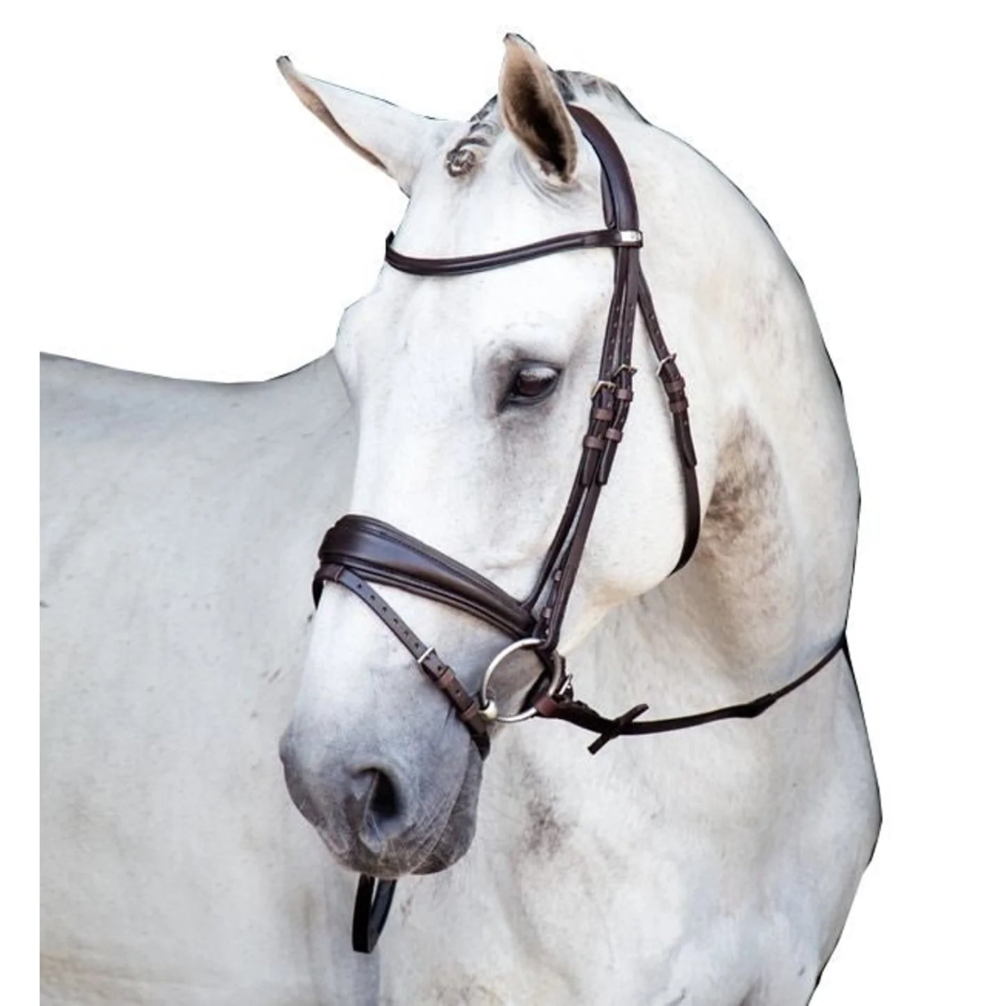 Stubben Switch/Clare 2 in 1 Snaffle Double Bridle Combo - New - Full Size - Ebony Dark Brown