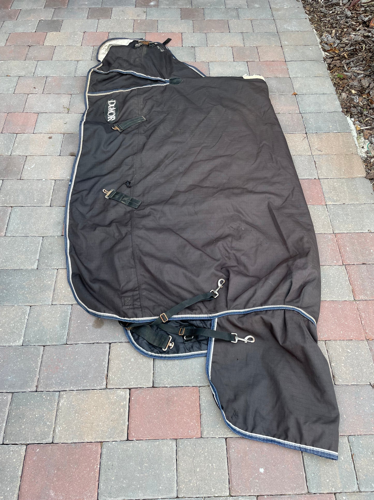 DuMOR Turnout Blanket - Light - 75”