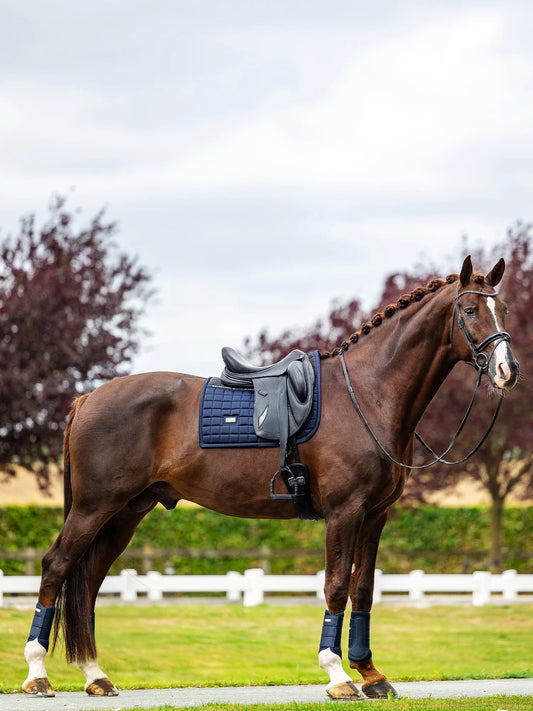 Equestrian Stockholm Sportive Modern Tech Navy Large Dressage Pad, Bonnet, Polos