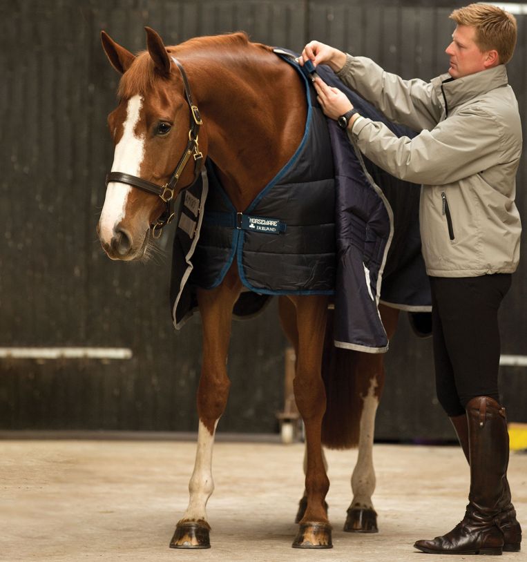 Horseware Ireland Blanket Liner - 300g - 78”