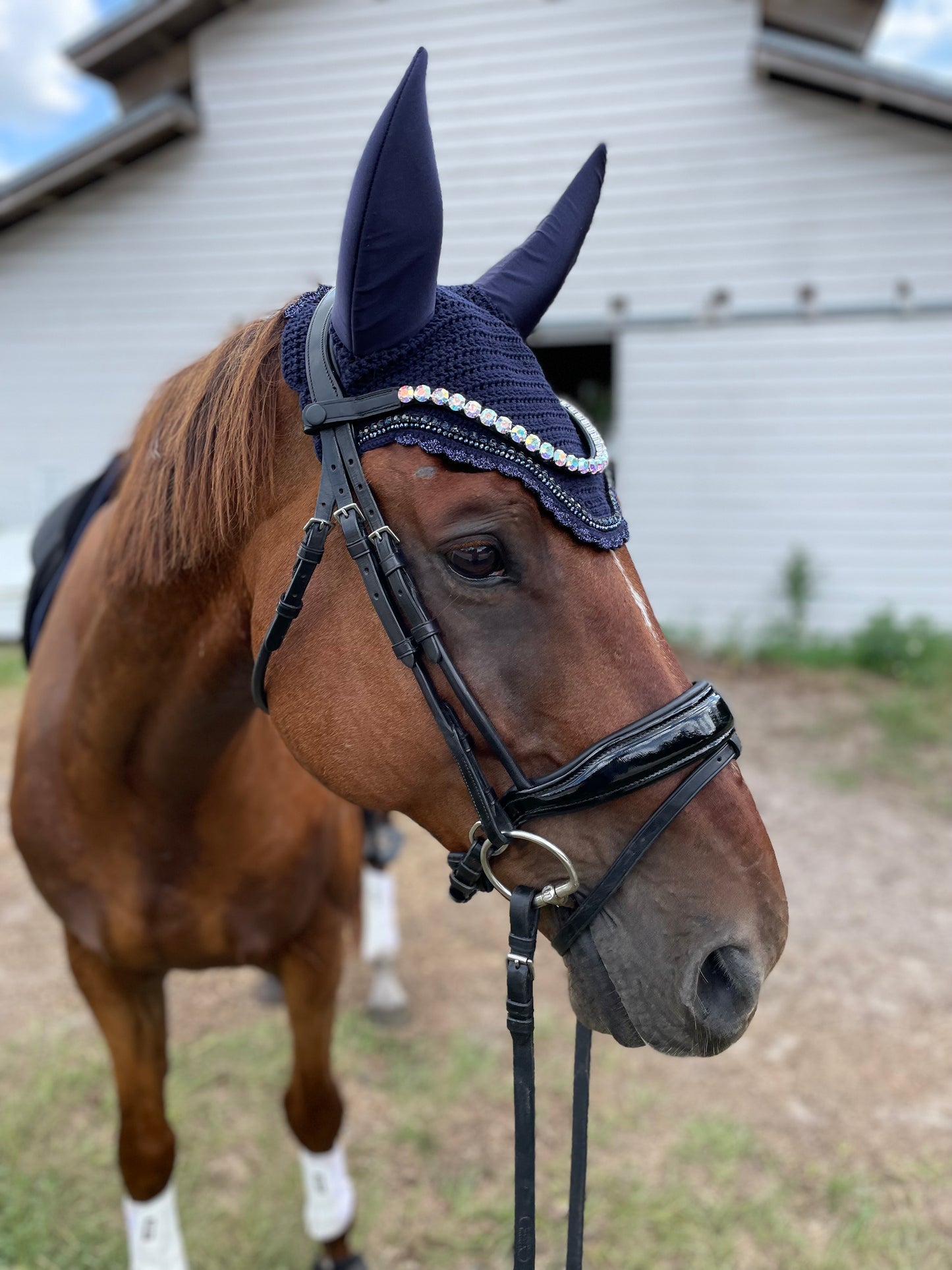 11 MM Crystal Browbands ✨ - Multiple Colors and Sizes