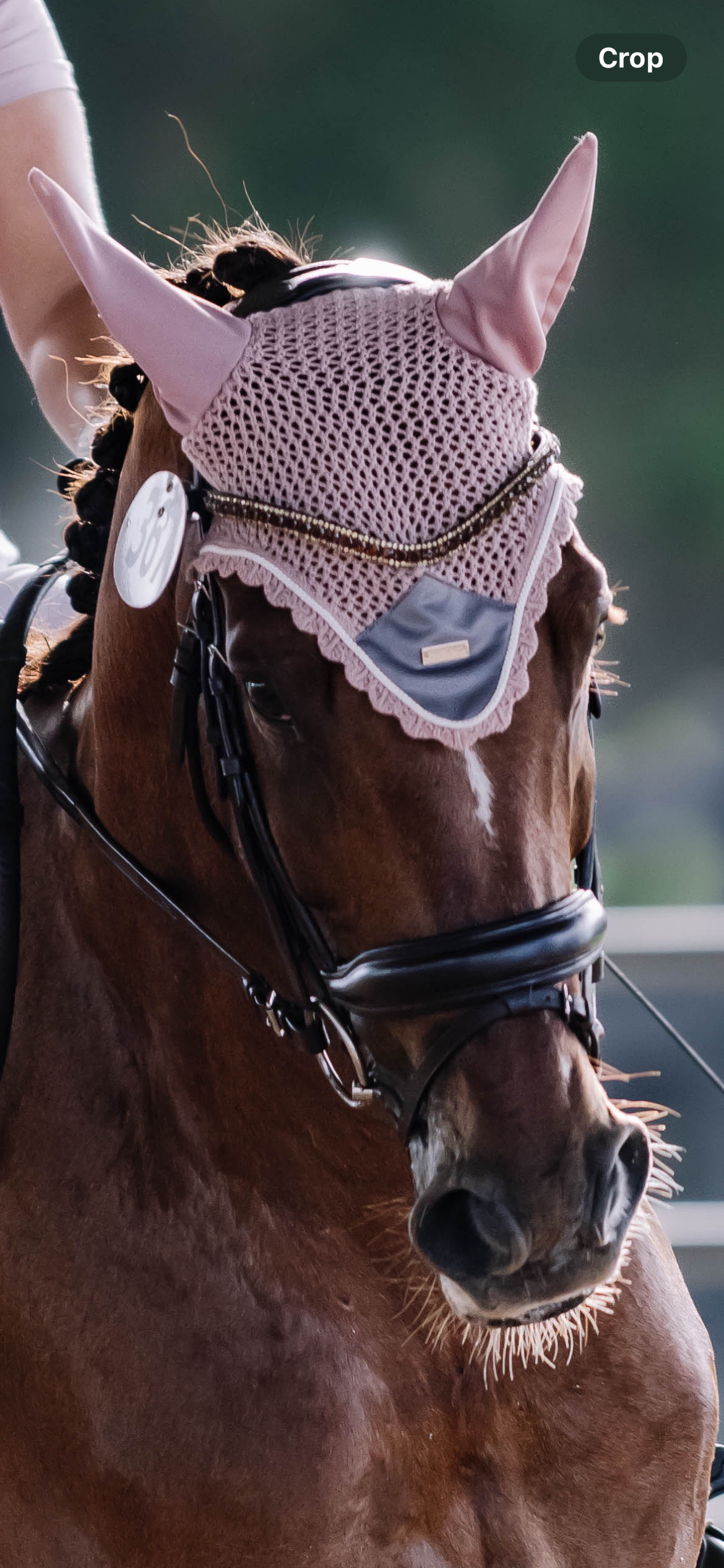 PS of Sweden Topaz Delight Size 4 Browband