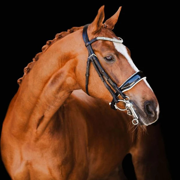 Lumiere Black White Patent Double Bridle - Adeline - with two sets of reins