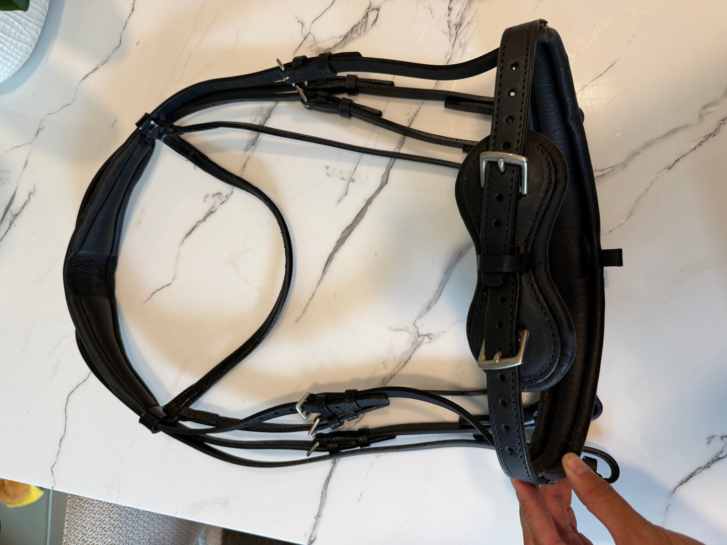 Stubben Switch/Clare 2 in 1 Snaffle Double Bridle Combo - New - Full Size - Patent Black