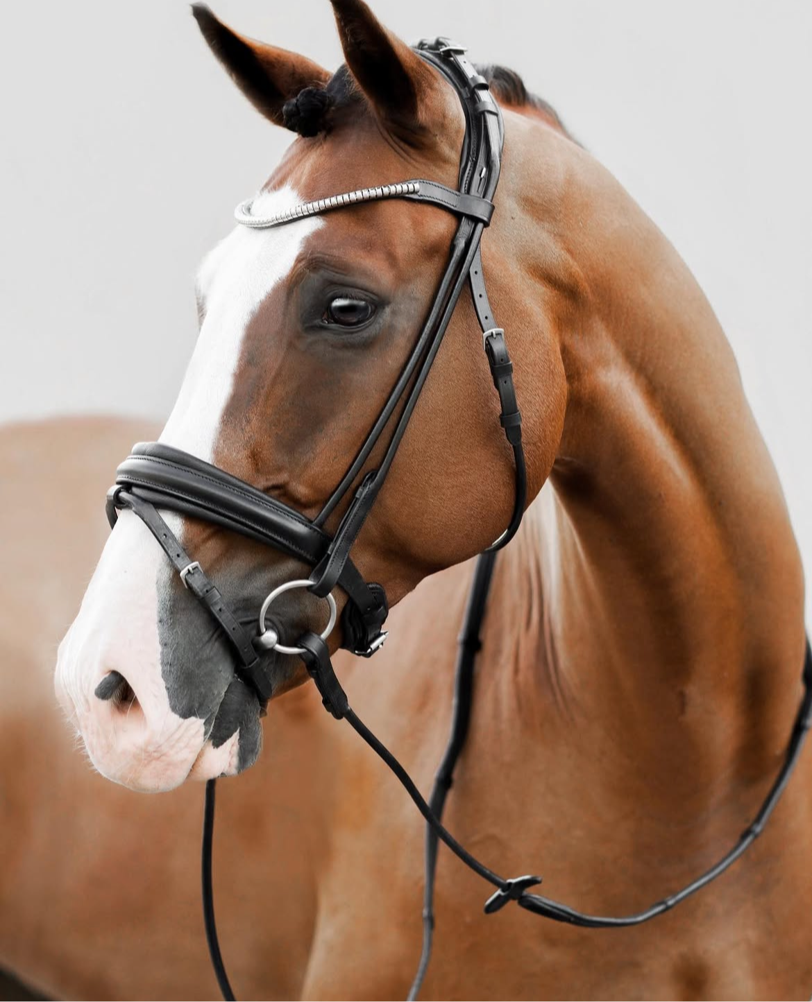 Lumiere Mercie Rolled Snaffle Bridle