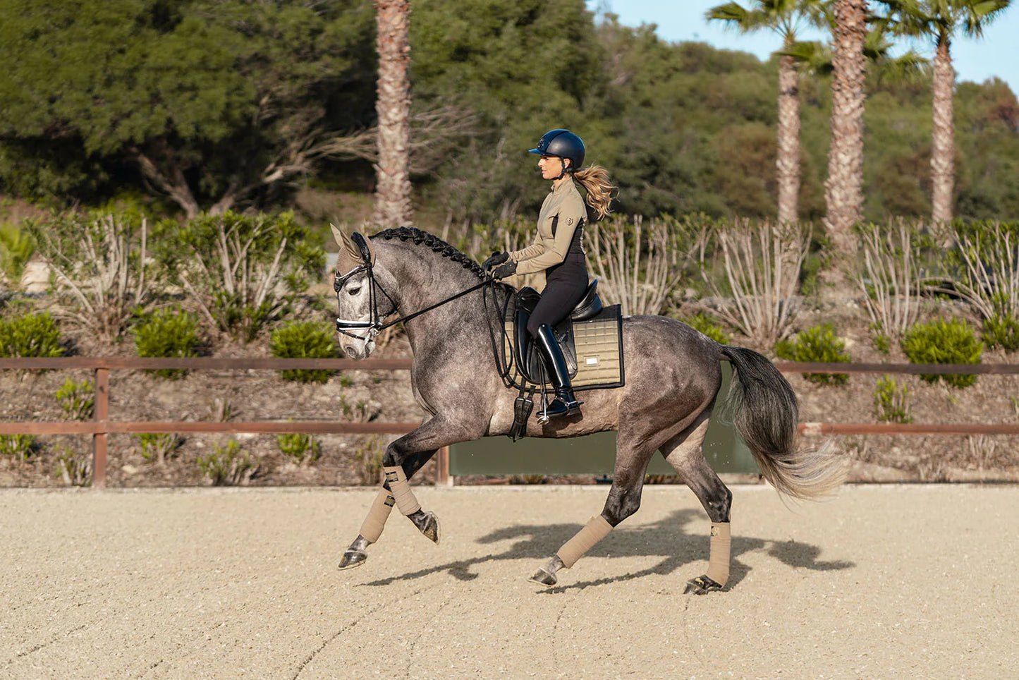 Equestrian Stockholm Sportive Chantelle Dressage Large Pad, Polos, Bell Boots