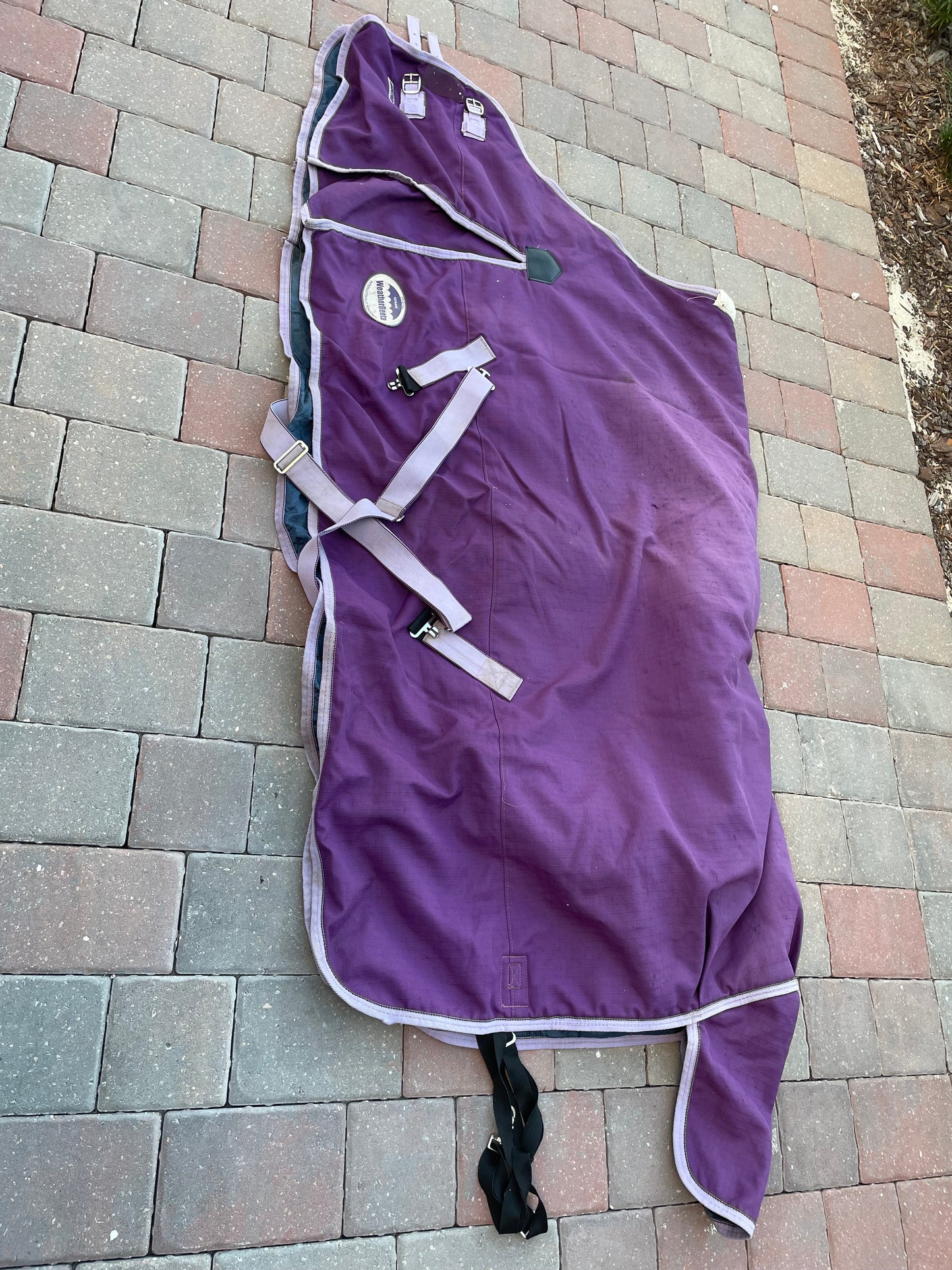 Weatherbeeta Turnout - Sizing and Fill (will double check) approx 100g and 78”