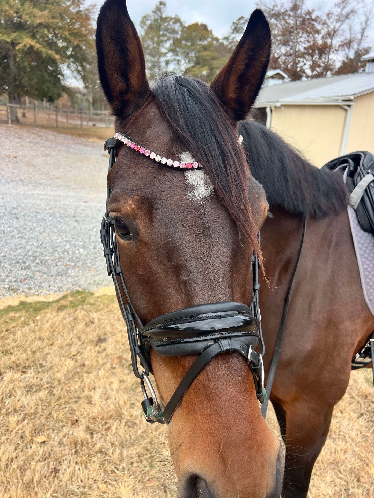 Shades of Pink Alternating Single Row 8 mm Preciosa Browband