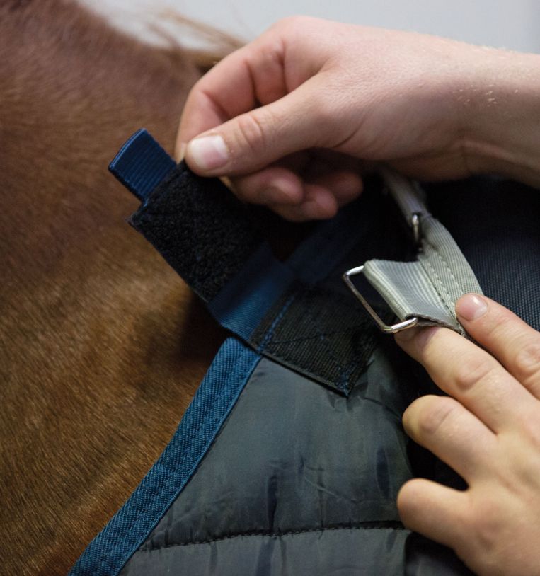 Horseware Ireland Blanket Liner - 300g - 78”