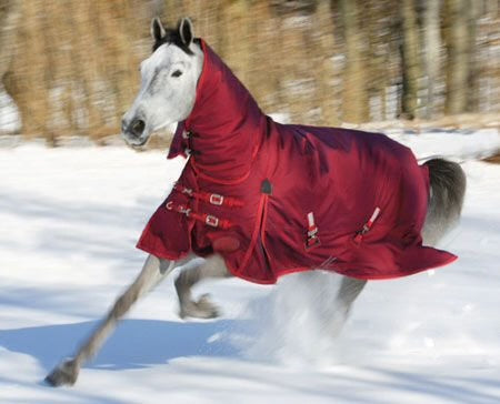 Shires 2000D Stormcheeta 400g Turnout Blanket - 84”