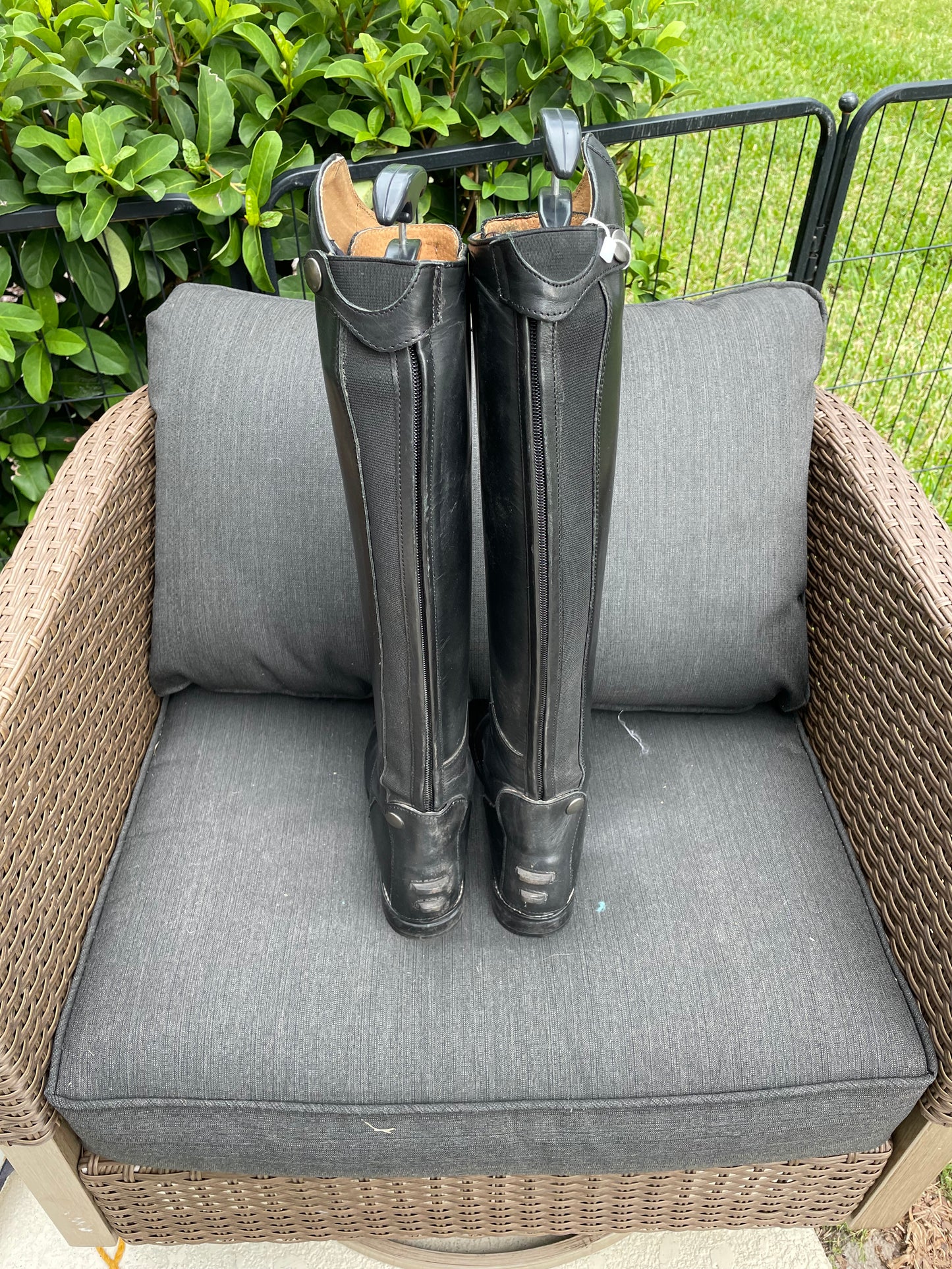 Busse Laval Boot - 38 Foot / 37-39 Calf / 48 Height