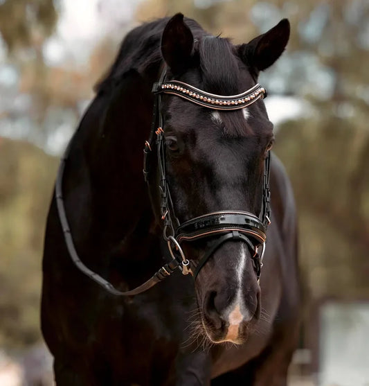 Halter Ego Aurelia Snaffle Bridle - Full Size - NEW!