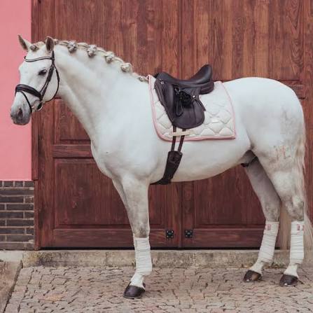 Equestrian Stockholm Desert Rose  - Full Size Dressage Pad and Bonnet